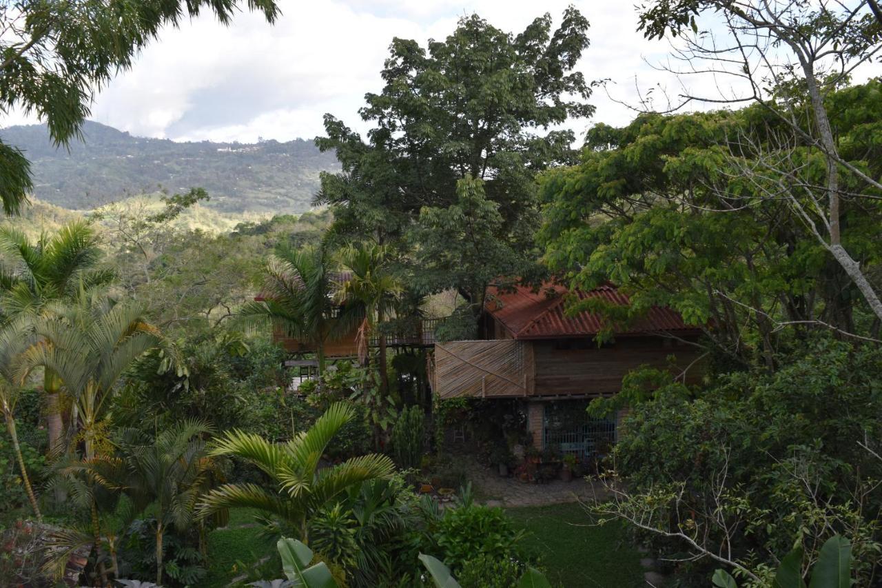 Chalets Huitaca Choachí Exterior photo